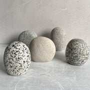 Magnetic Fuzzy Rock