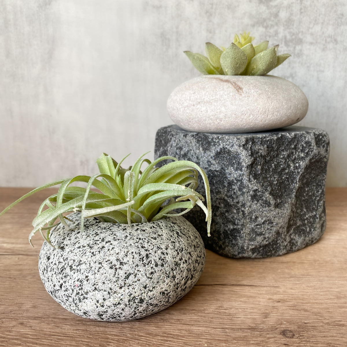 rocks for succulents Stone Succulent Planter