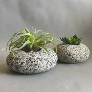 Stone Succulent Planter