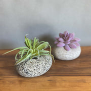 Stone Succulent Planter